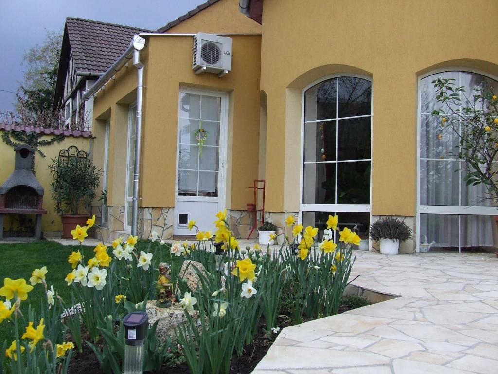 Апартаменты Abbazia Apartman Эгер Экстерьер фото